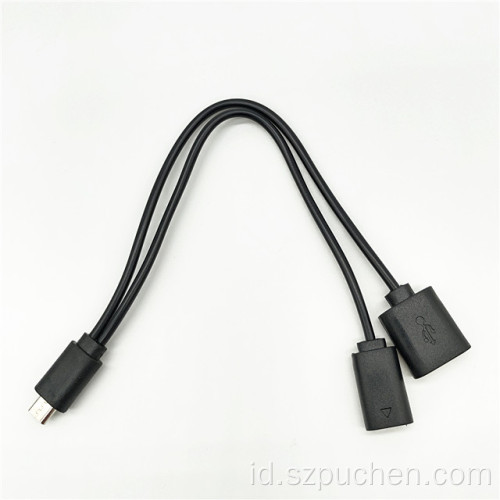 Satu Seret Dua Kabel USB Mikro OTG